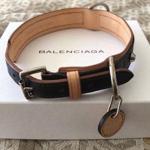 Balenciaga dog collar